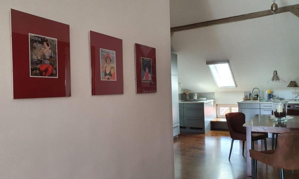 Loggiahaus Am Schloss, 5 Ferienwohnungen, Teils Mit Schloss- Und Seeblick 라인스베르크 외부 사진