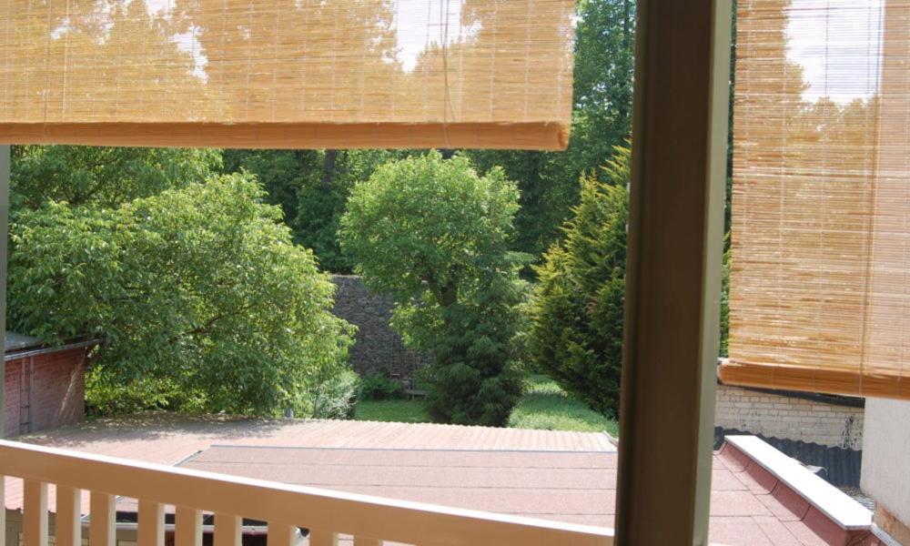 Loggiahaus Am Schloss, 5 Ferienwohnungen, Teils Mit Schloss- Und Seeblick 라인스베르크 외부 사진