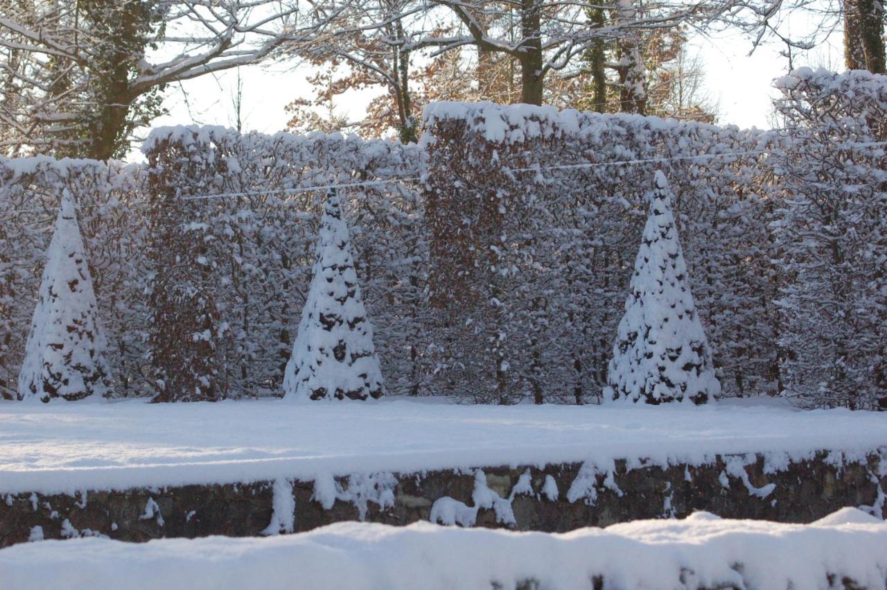 Loggiahaus Am Schloss, 5 Ferienwohnungen, Teils Mit Schloss- Und Seeblick 라인스베르크 외부 사진